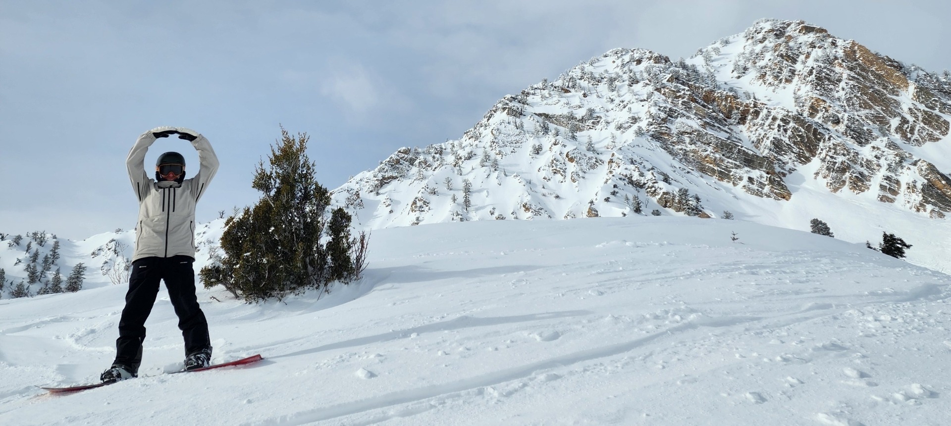 Coops Ready Snowbasin