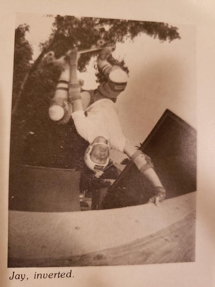 Jay Inverted
