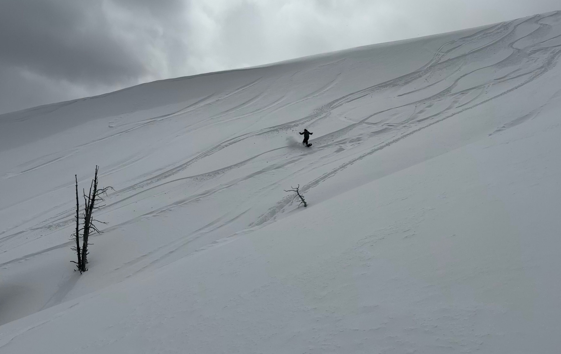Jay surfing pow